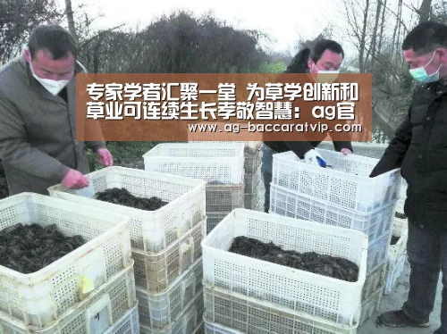 专家学者汇聚一堂 为草学创新和草业可连续生长孝敬智慧:ag官网(图3) ag官网