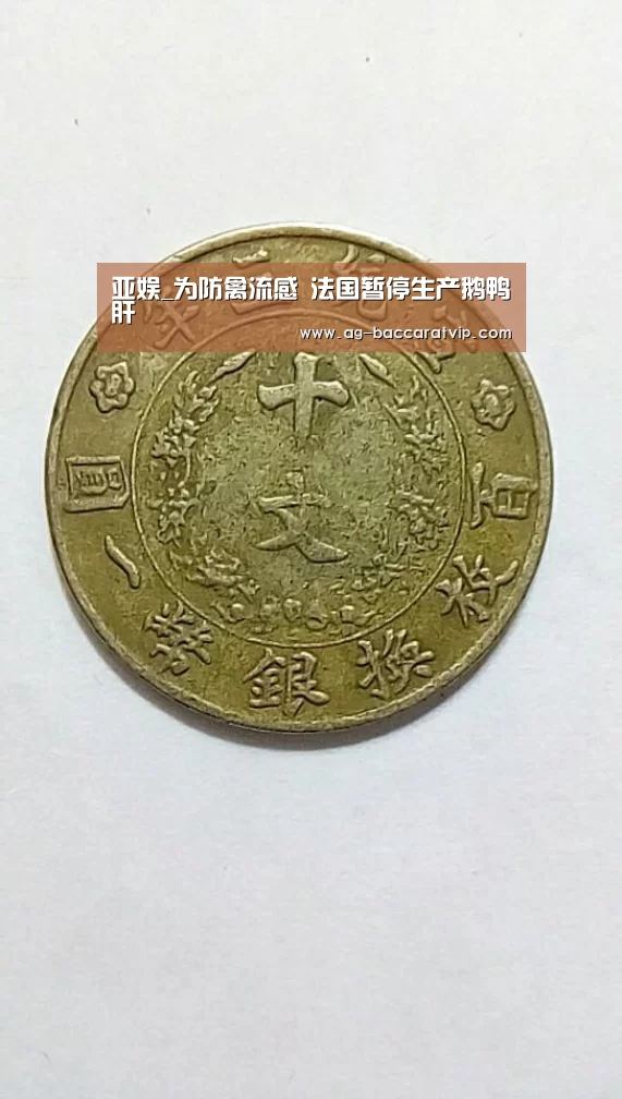 亚娱_为防禽流感 法国暂停生产鹅鸭肝(图3) 亚娱