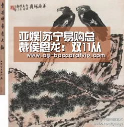 亚娱|苏宁易购总裁侯恩龙:双11从低价到品质是消费观念的提升(图3) 亚娱