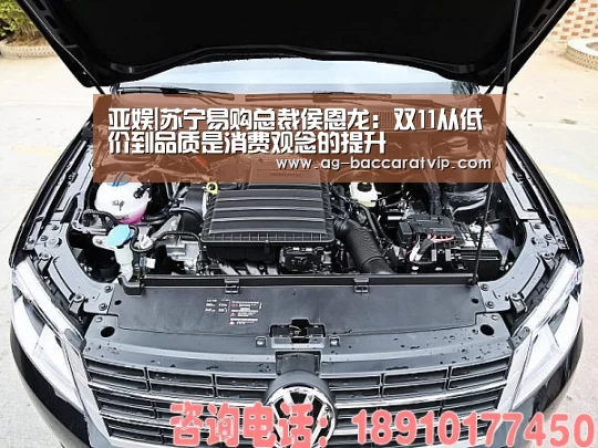 亚娱|苏宁易购总裁侯恩龙:双11从低价到品质是消费观念的提升(图4) ag官网
